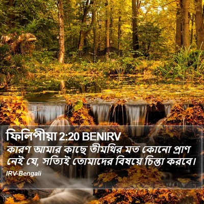 ফিলিপীয়া 2:20 BENIRV Bible Verse Image