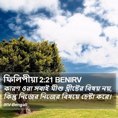 ফিলিপীয়া 2:21 BENIRV Bible Verse Image