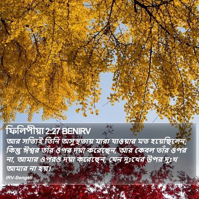 ফিলিপীয়া 2:27 BENIRV Bible Verse Image