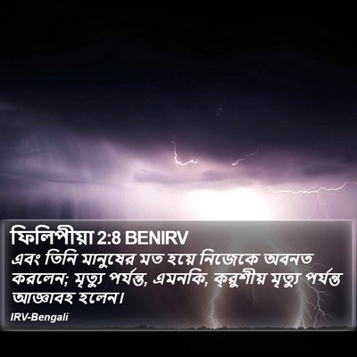 ফিলিপীয়া 2:8 BENIRV Bible Verse Image
