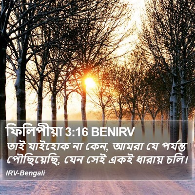 ফিলিপীয়া 3:16 BENIRV Bible Verse Image