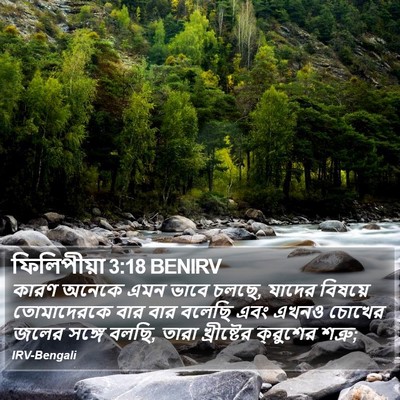 ফিলিপীয়া 3:18 BENIRV Bible Verse Image