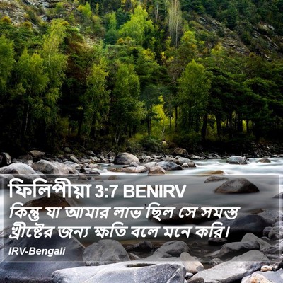 ফিলিপীয়া 3:7 BENIRV Bible Verse Image