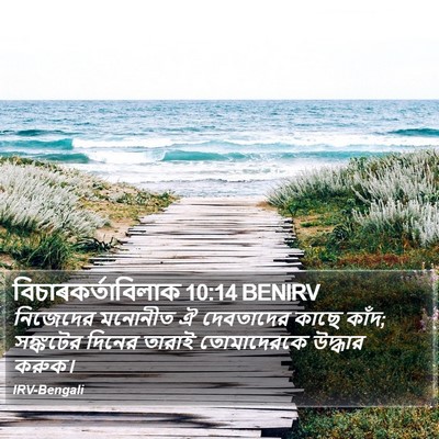 বিচাৰকর্তাবিলাক 10:14 BENIRV Bible Verse Image