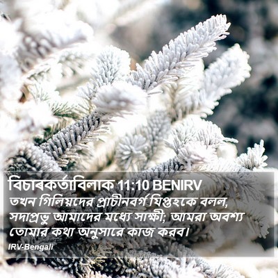 বিচাৰকর্তাবিলাক 11:10 BENIRV Bible Verse Image