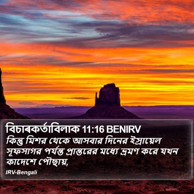 বিচাৰকর্তাবিলাক 11:16 BENIRV Bible Verse Image