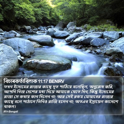 বিচাৰকর্তাবিলাক 11:17 BENIRV Bible Verse Image