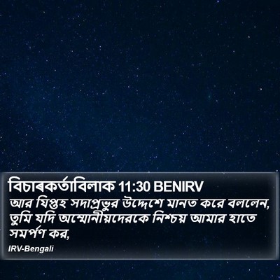 বিচাৰকর্তাবিলাক 11:30 BENIRV Bible Verse Image