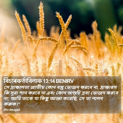 বিচাৰকর্তাবিলাক 13:14 BENIRV Bible Verse Image