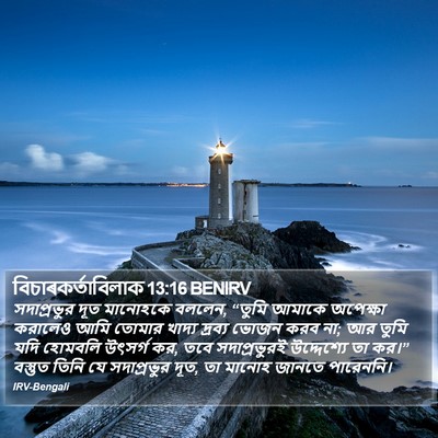বিচাৰকর্তাবিলাক 13:16 BENIRV Bible Verse Image
