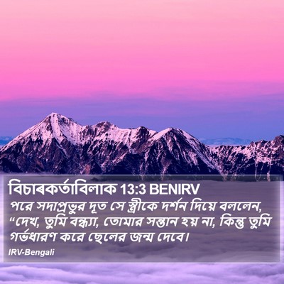 বিচাৰকর্তাবিলাক 13:3 BENIRV Bible Verse Image