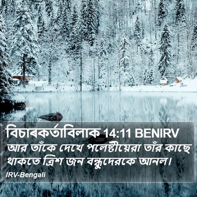 বিচাৰকর্তাবিলাক 14:11 BENIRV Bible Verse Image