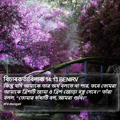 বিচাৰকর্তাবিলাক 14:13 BENIRV Bible Verse Image