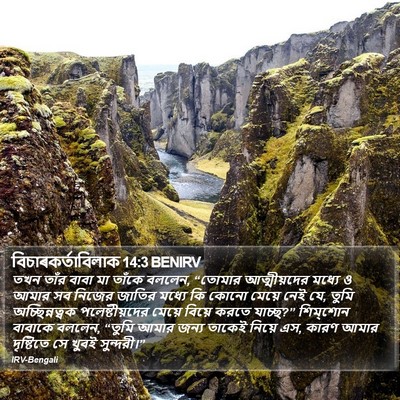 বিচাৰকর্তাবিলাক 14:3 BENIRV Bible Verse Image