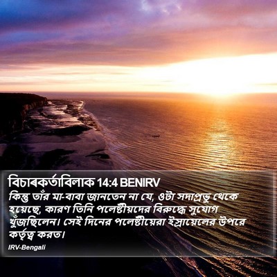 বিচাৰকর্তাবিলাক 14:4 BENIRV Bible Verse Image