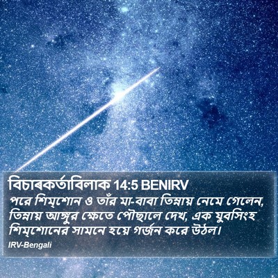 বিচাৰকর্তাবিলাক 14:5 BENIRV Bible Verse Image