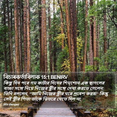বিচাৰকর্তাবিলাক 15:1 BENIRV Bible Verse Image