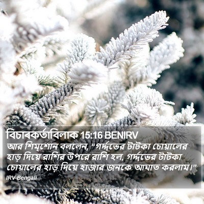বিচাৰকর্তাবিলাক 15:16 BENIRV Bible Verse Image