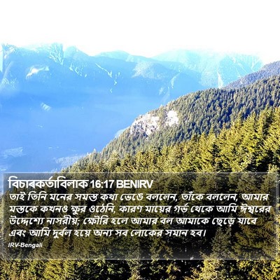 বিচাৰকর্তাবিলাক 16:17 BENIRV Bible Verse Image