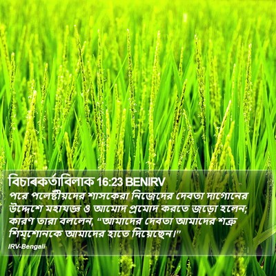 বিচাৰকর্তাবিলাক 16:23 BENIRV Bible Verse Image