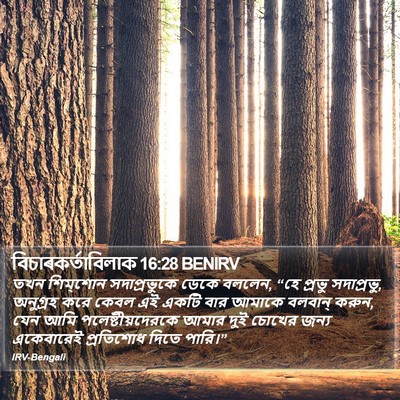 বিচাৰকর্তাবিলাক 16:28 BENIRV Bible Verse Image