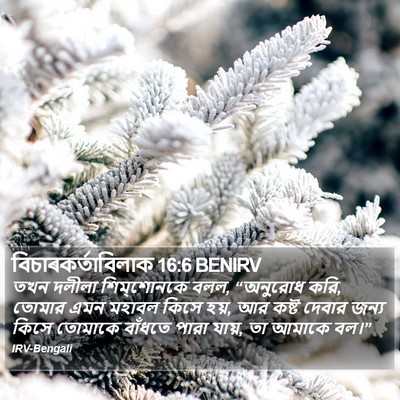 বিচাৰকর্তাবিলাক 16:6 BENIRV Bible Verse Image