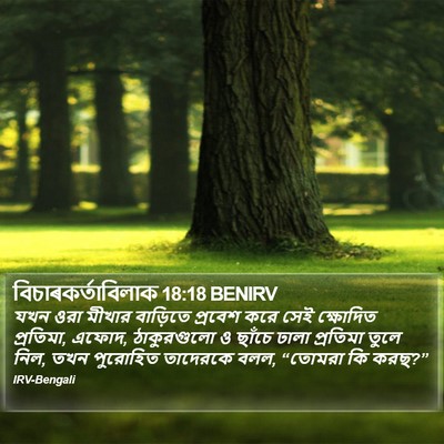 বিচাৰকর্তাবিলাক 18:18 BENIRV Bible Verse Image