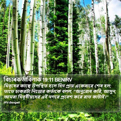 বিচাৰকর্তাবিলাক 19:11 BENIRV Bible Verse Image
