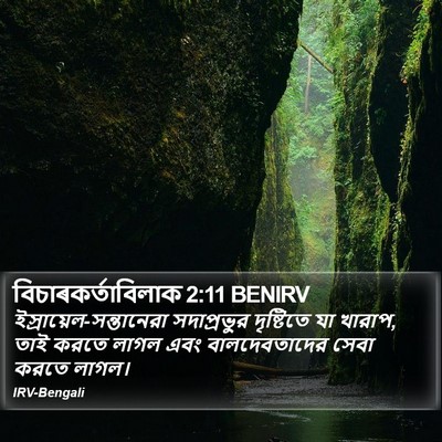 বিচাৰকর্তাবিলাক 2:11 BENIRV Bible Verse Image