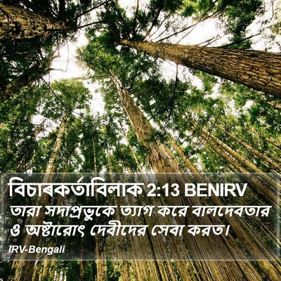 বিচাৰকর্তাবিলাক 2:13 BENIRV Bible Verse Image