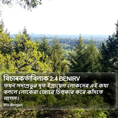 বিচাৰকর্তাবিলাক 2:4 BENIRV Bible Verse Image