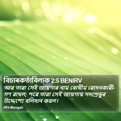 বিচাৰকর্তাবিলাক 2:5 BENIRV Bible Verse Image
