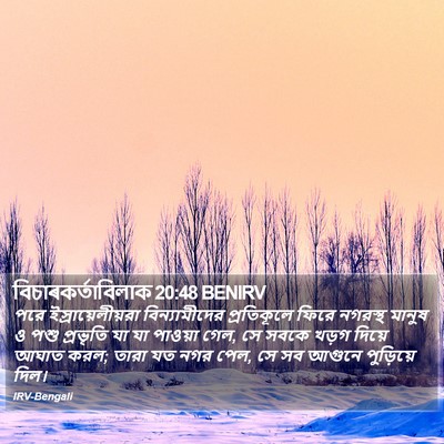 বিচাৰকর্তাবিলাক 20:48 BENIRV Bible Verse Image