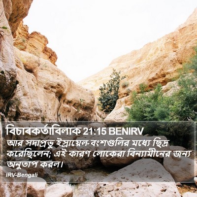 বিচাৰকর্তাবিলাক 21:15 BENIRV Bible Verse Image