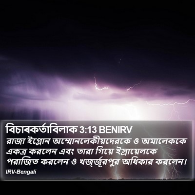 বিচাৰকর্তাবিলাক 3:13 BENIRV Bible Verse Image