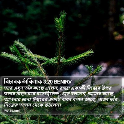 বিচাৰকর্তাবিলাক 3:20 BENIRV Bible Verse Image