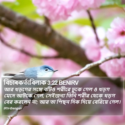 বিচাৰকর্তাবিলাক 3:22 BENIRV Bible Verse Image