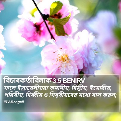 বিচাৰকর্তাবিলাক 3:5 BENIRV Bible Verse Image