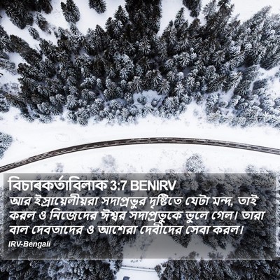 বিচাৰকর্তাবিলাক 3:7 BENIRV Bible Verse Image
