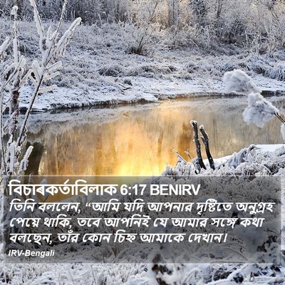 বিচাৰকর্তাবিলাক 6:17 BENIRV Bible Verse Image