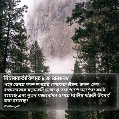বিচাৰকর্তাবিলাক 6:28 BENIRV Bible Verse Image