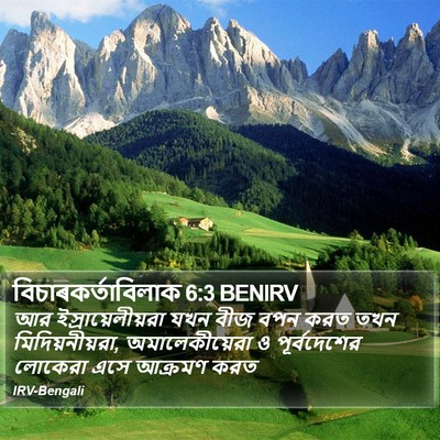 বিচাৰকর্তাবিলাক 6:3 BENIRV Bible Verse Image