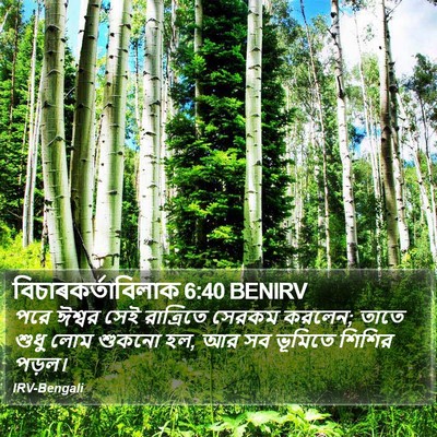 বিচাৰকর্তাবিলাক 6:40 BENIRV Bible Verse Image