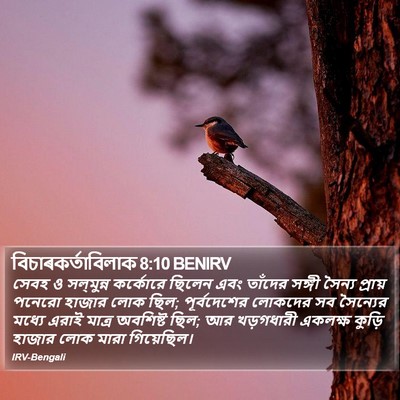 বিচাৰকর্তাবিলাক 8:10 BENIRV Bible Verse Image