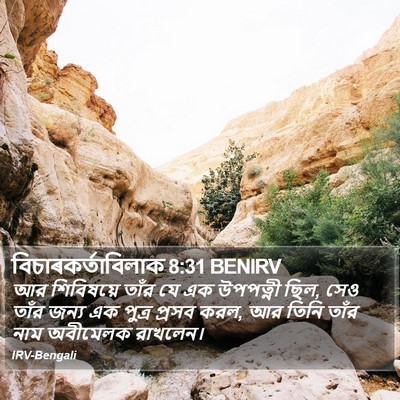 বিচাৰকর্তাবিলাক 8:31 BENIRV Bible Verse Image