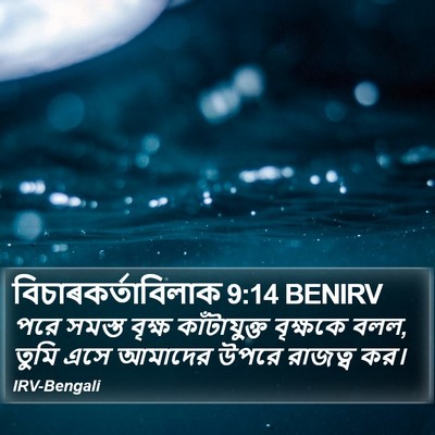 বিচাৰকর্তাবিলাক 9:14 BENIRV Bible Verse Image