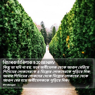বিচাৰকর্তাবিলাক 9:20 BENIRV Bible Verse Image