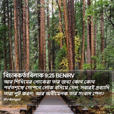 বিচাৰকর্তাবিলাক 9:25 BENIRV Bible Verse Image