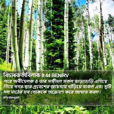 বিচাৰকর্তাবিলাক 9:44 BENIRV Bible Verse Image