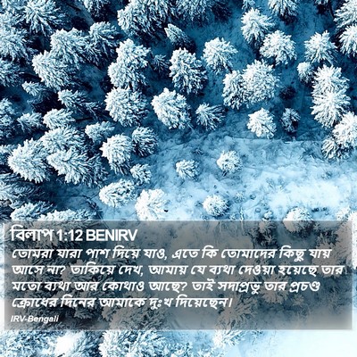 বিলাপ 1:12 BENIRV Bible Verse Image